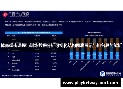 体育拳击课程与训练数据分析可视化结构图表展示与排名趋势解析